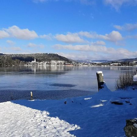 Vogelnescht19 Lejlighed Titisee-Neustadt Eksteriør billede